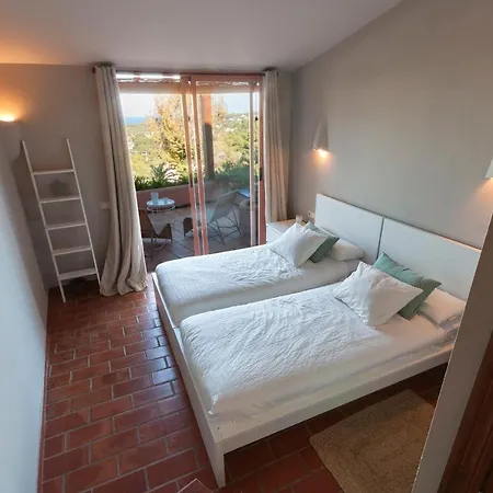 Anemona Balcon del Mar